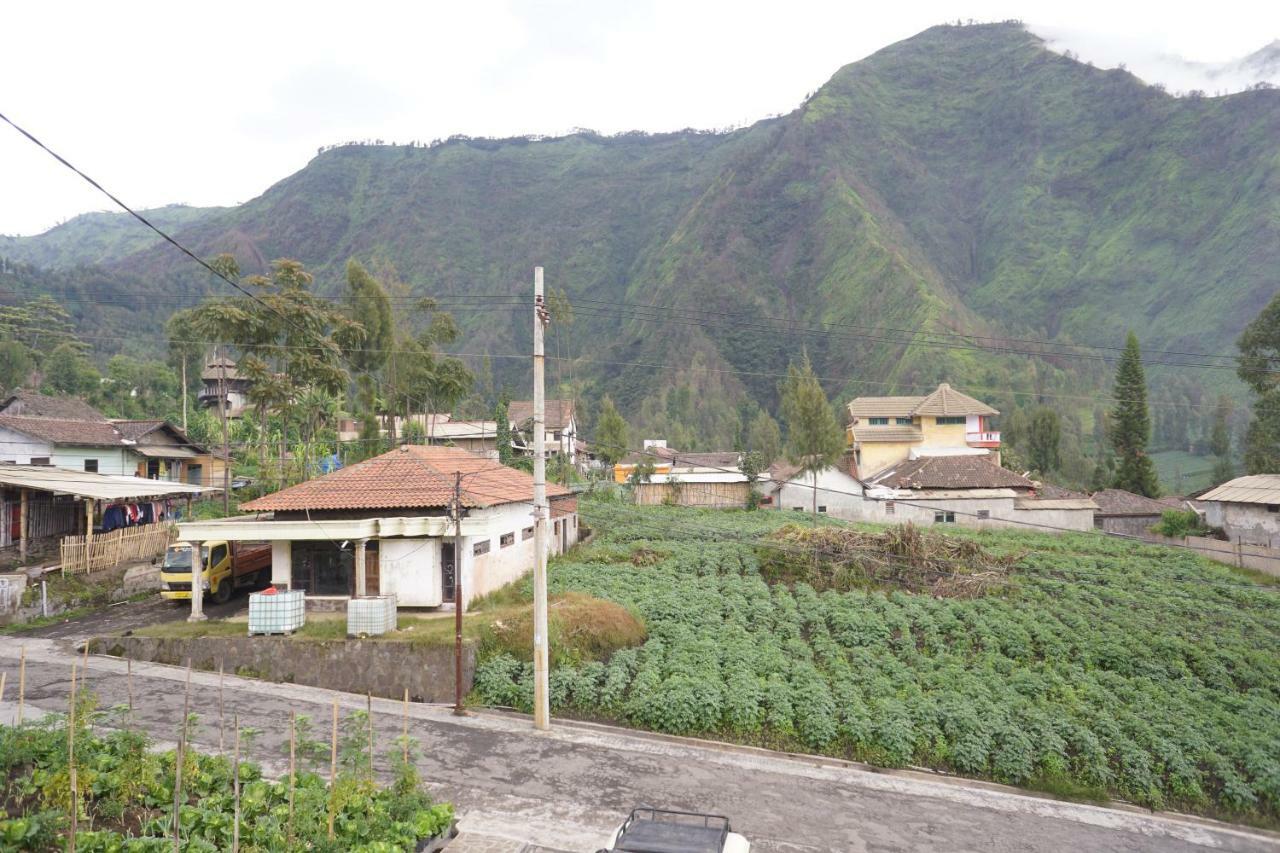 Homestay Lereng Bromo Exterior foto